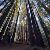Review photo of Florence Keller Campground by Shannon B., August 30, 2026