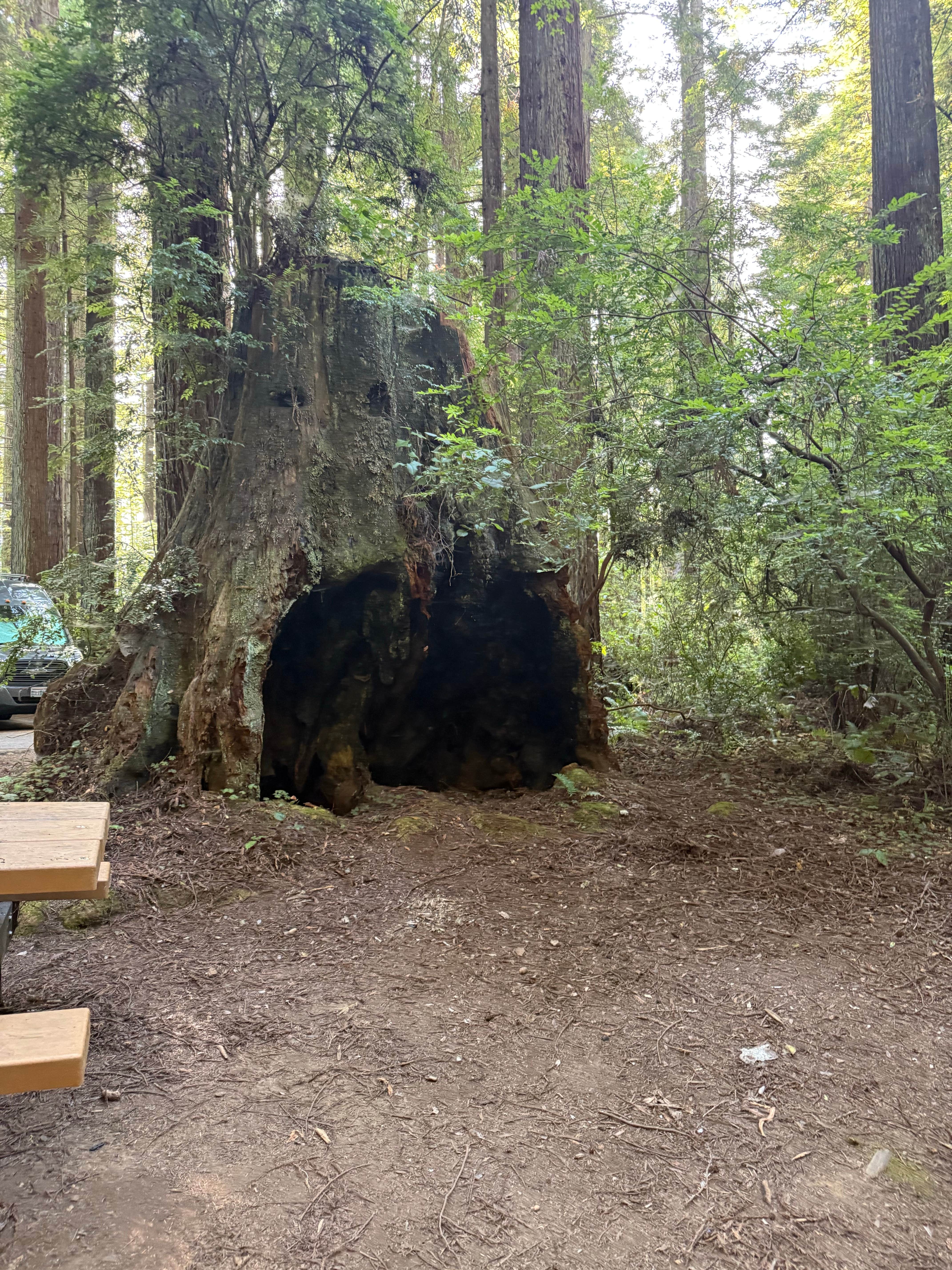 Camper-submitted photo at Florence Keller Campground near Gasquet, CA