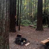 Review photo of florence keller campground by M00na A., October 2, 2024