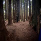 Review photo of Florence Keller Campground by Shannon B., August 30, 2026
