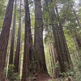 Review photo of Florence Keller Campground by Grace A., August 17, 2025