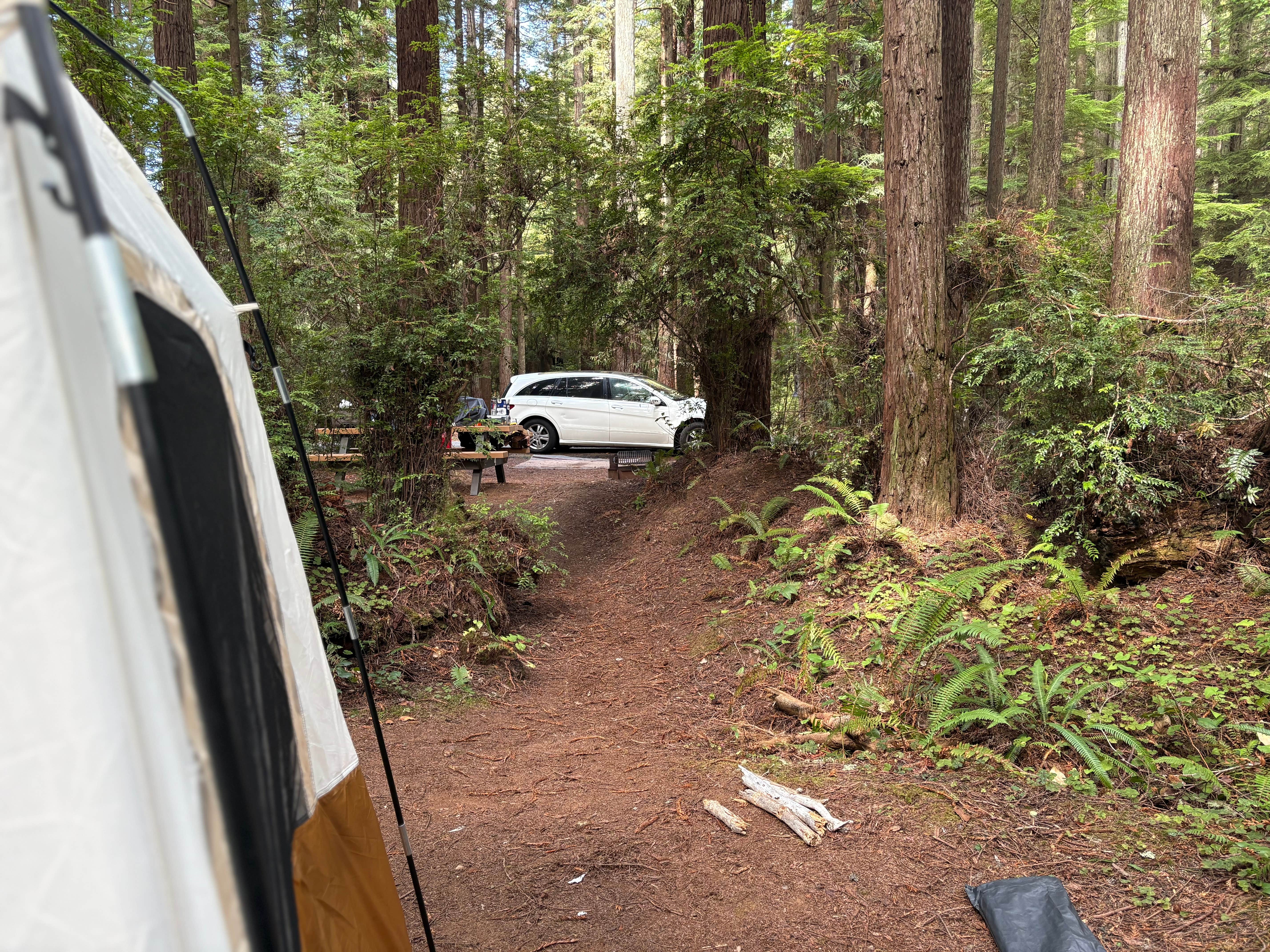 Jake M.'s photo at Florence Keller Campground near Smith River, CA