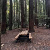 Review photo of florence keller campground by M00na A., October 2, 2024