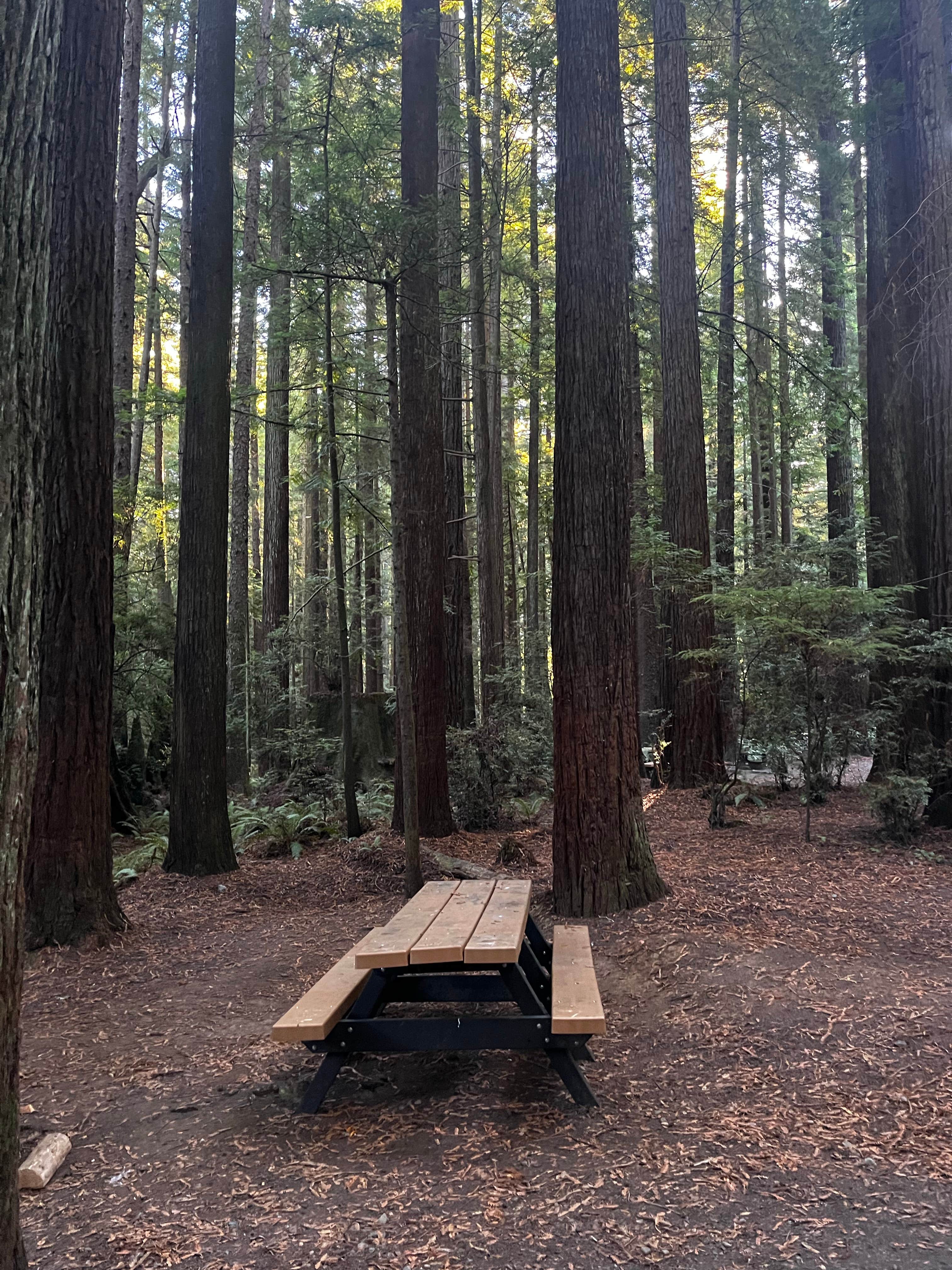 Camper submitted image from Florence Keller Campground - 2
