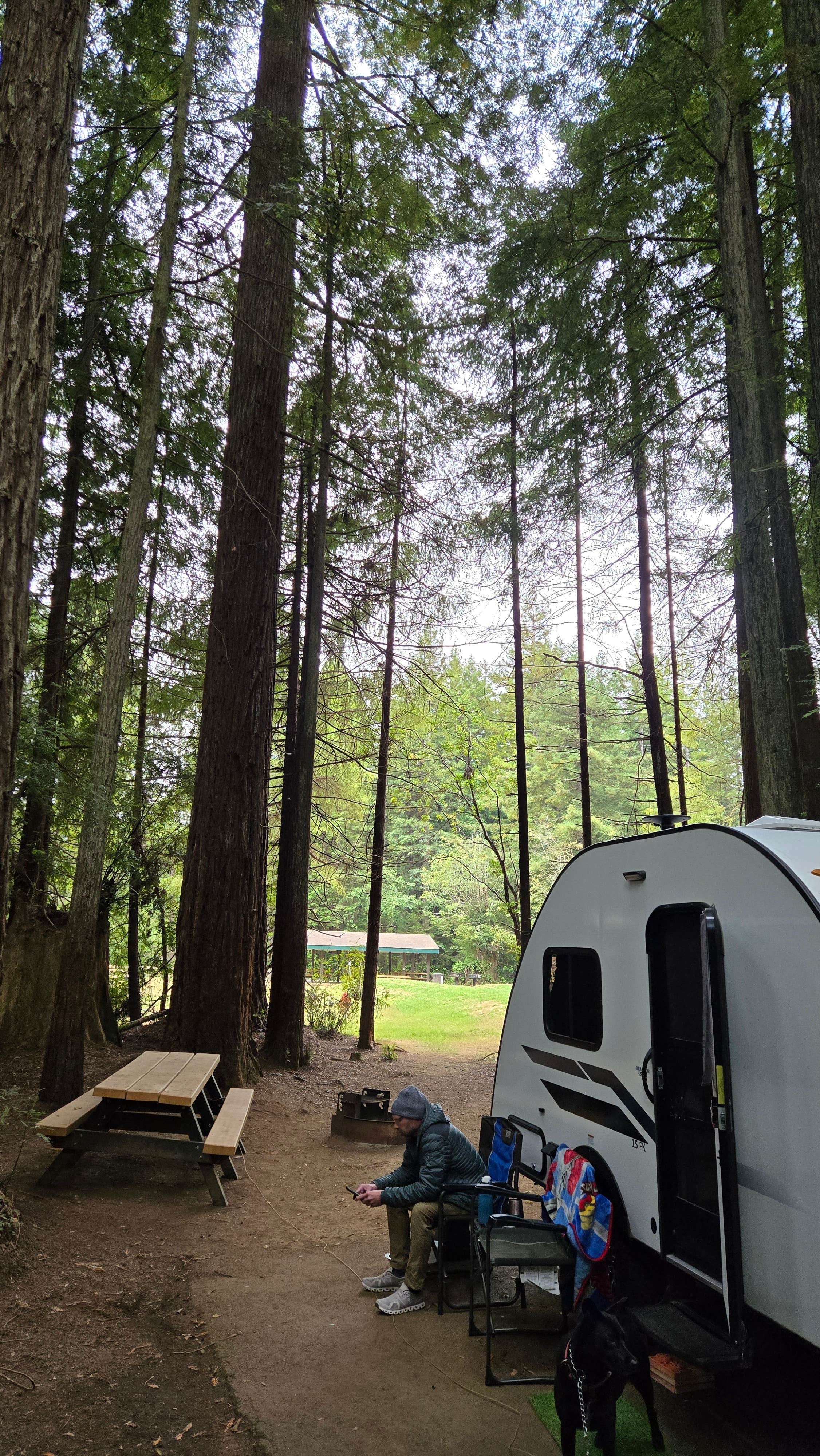 Janalee's photo of camping with pets at Florence Keller Campground near Brookings, OR