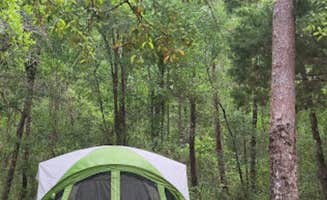 Alexandra E.'s photo at Alexander Springs Recreation Area near Paisley, FL