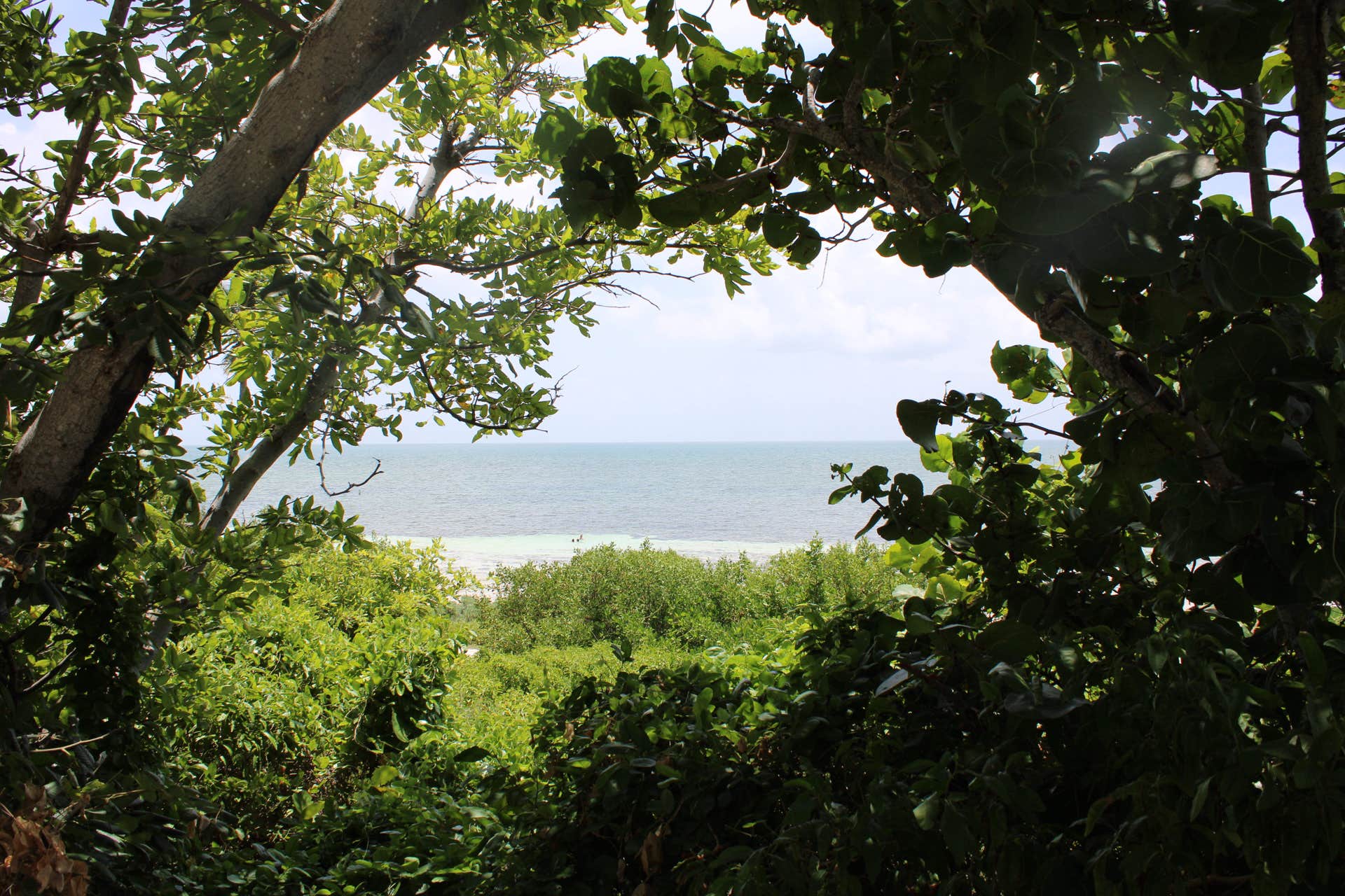 Camper-submitted photo at Bayside Campground — Bahia Honda State Park near Marathon Shores, FL