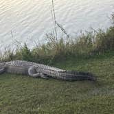 Review photo of Monument Lake Campground — Big Cypress National Preserve by Roger W., February 12, 2024