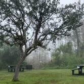 Review photo of Monument Lake Campground — Big Cypress National Preserve by Roger W., February 12, 2024