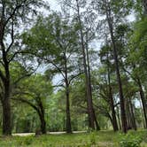 Review photo of Brown House Hunt Camp by Sienna S., April 30, 2026