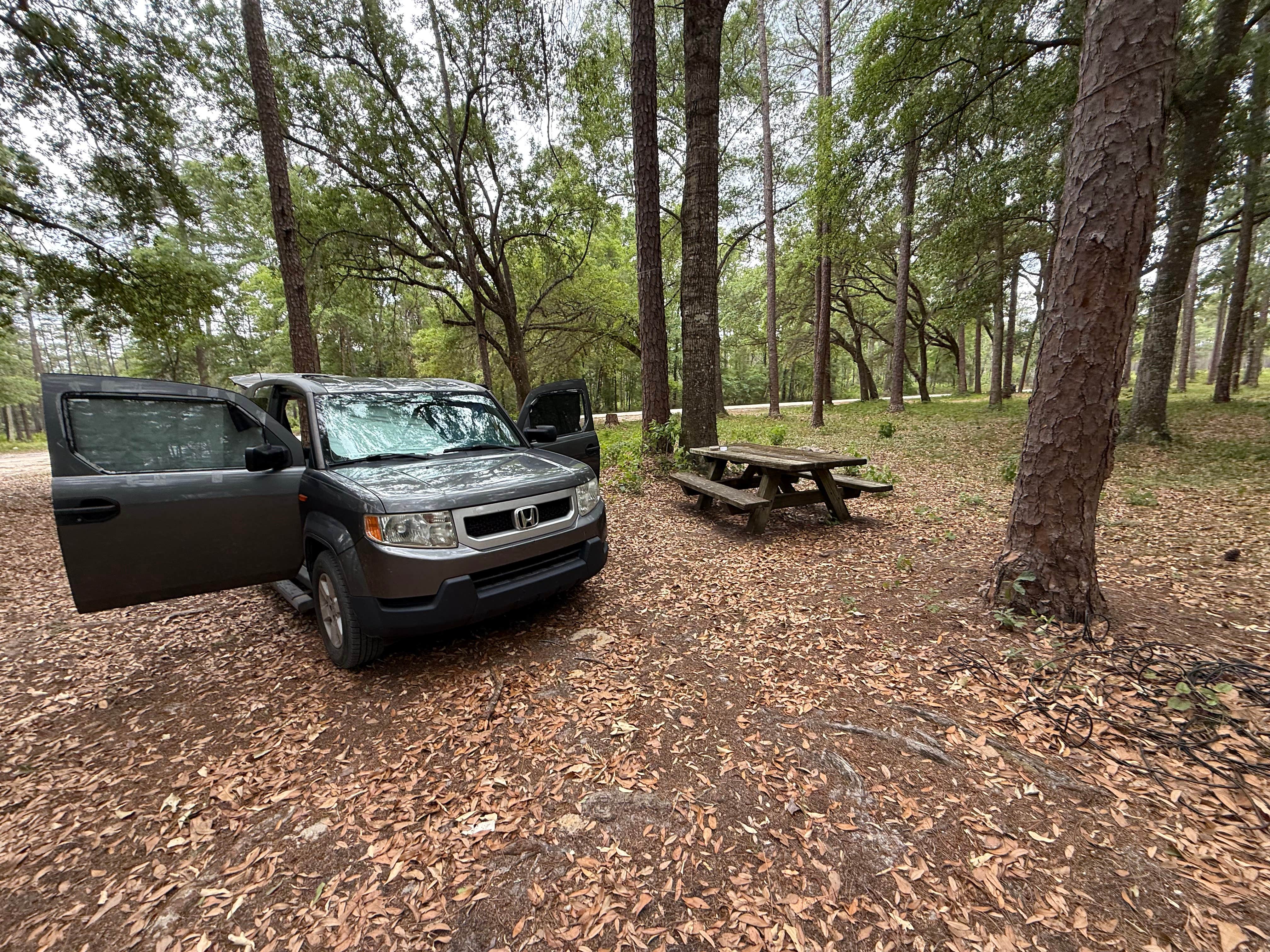 Camping near Apalachicola National Forest Porter Lake Campground: Brown House Hunt Camp, Crawfordville, Florida