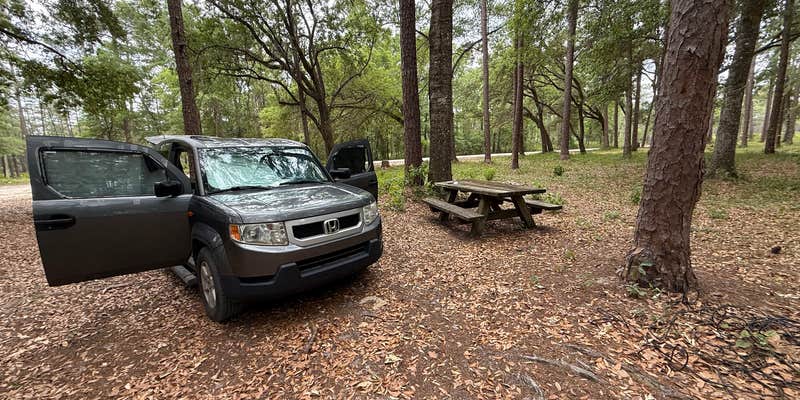 Camper submitted image from Brown House Hunt Camp