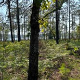 Review photo of Camel Lake Campground by Kathy D., May 29, 2024