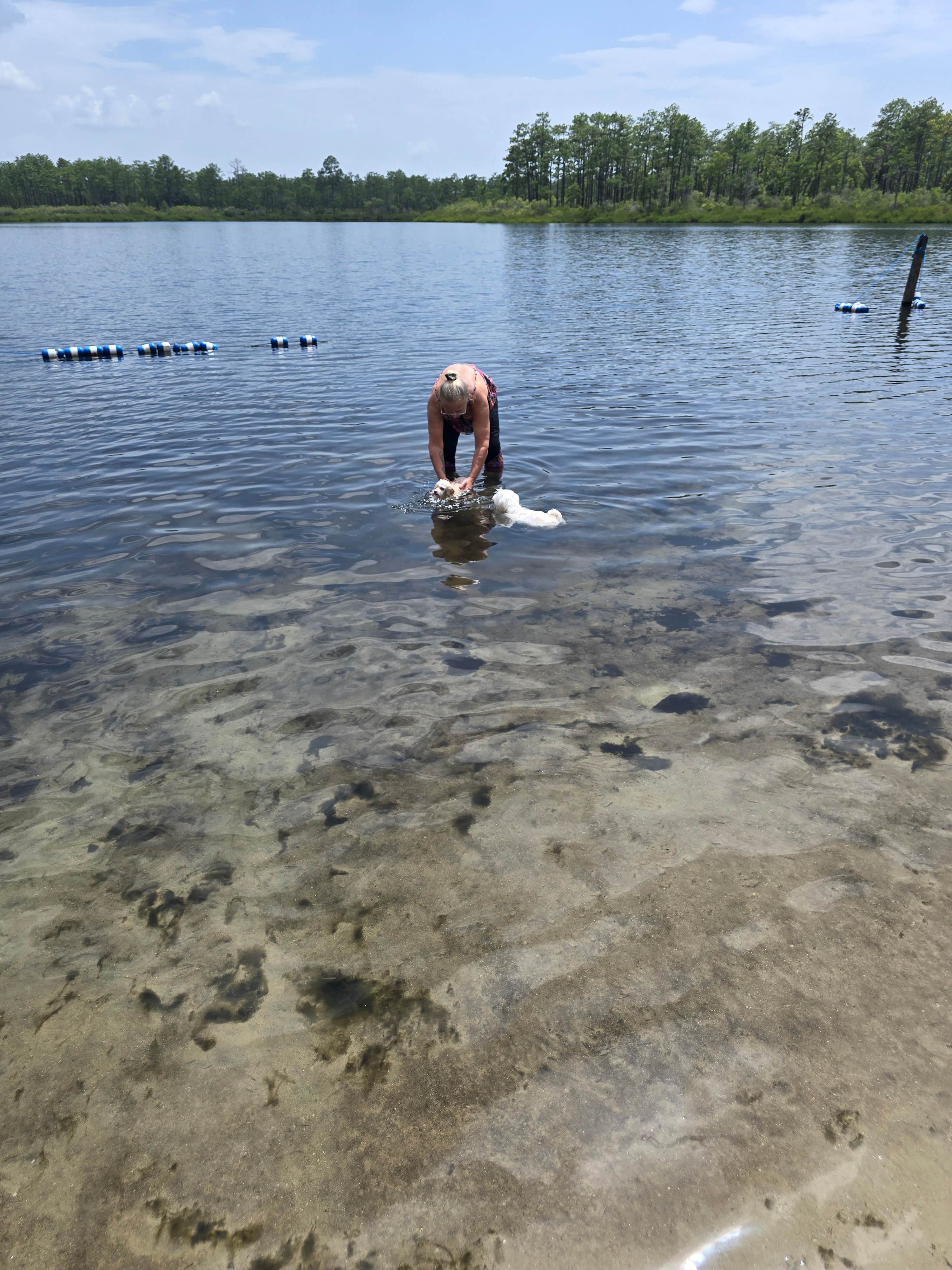 Tim H.'s photo of camping with pets at Camel Lake Campground near Midway, FL