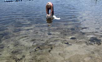 Tim H.'s photo of camping with pets at Camel Lake Campground near Midway, FL