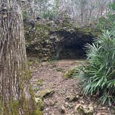 Review photo of Blue Hole Campground — Florida Caverns State Park by Richard F., December 29, 2024