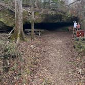 Review photo of Blue Hole Campground — Florida Caverns State Park by Richard F., December 29, 2024