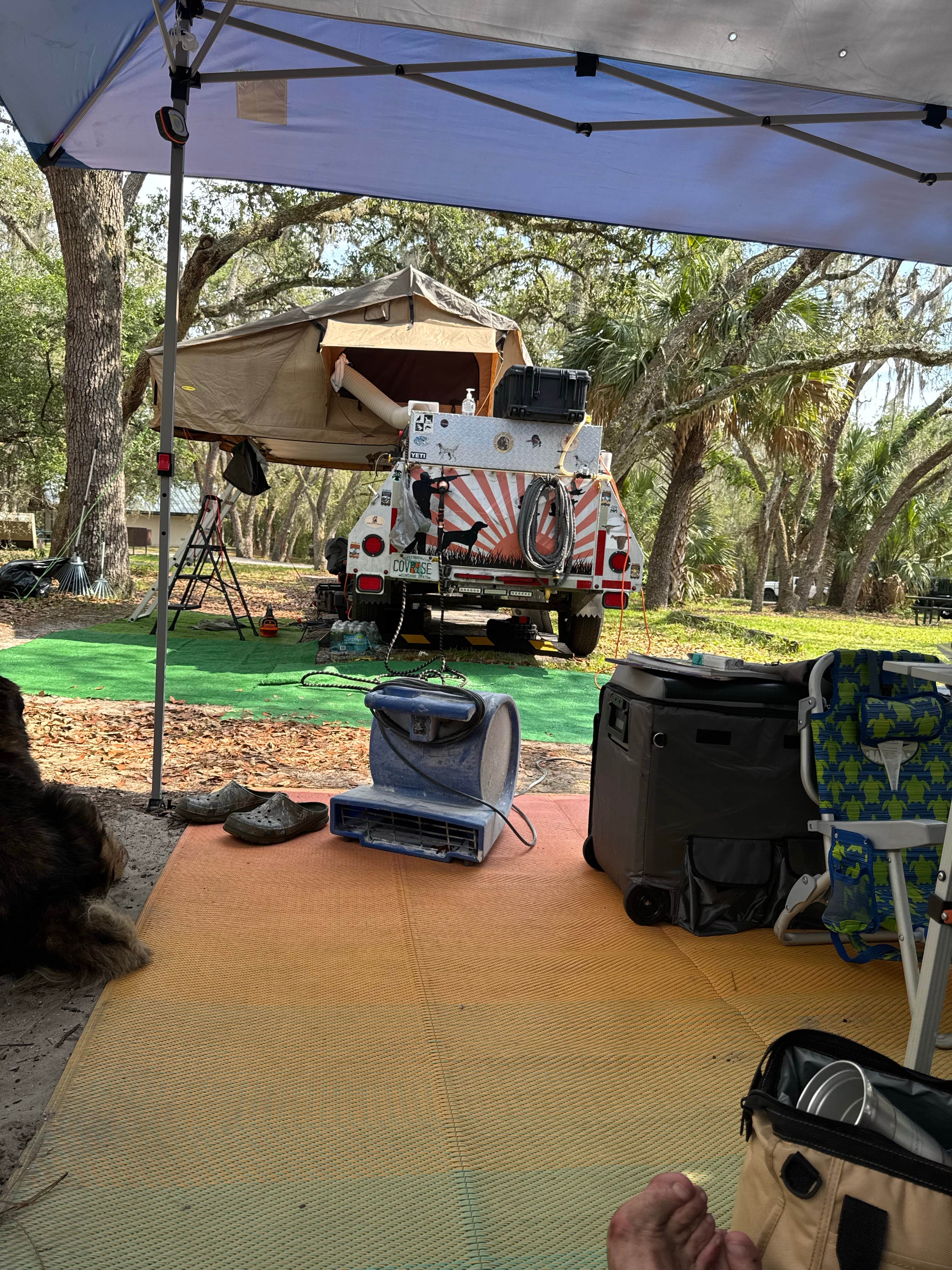 ENRIQUE T.'s photo of camping with pets at Clearwater Lake Campground near Ocala National Forest