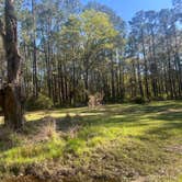 Review photo of Cobb Hunt Camp by hilary G., March 19, 2025