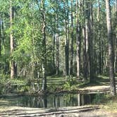 Review photo of Cobb Hunt Camp by hilary G., March 19, 2025