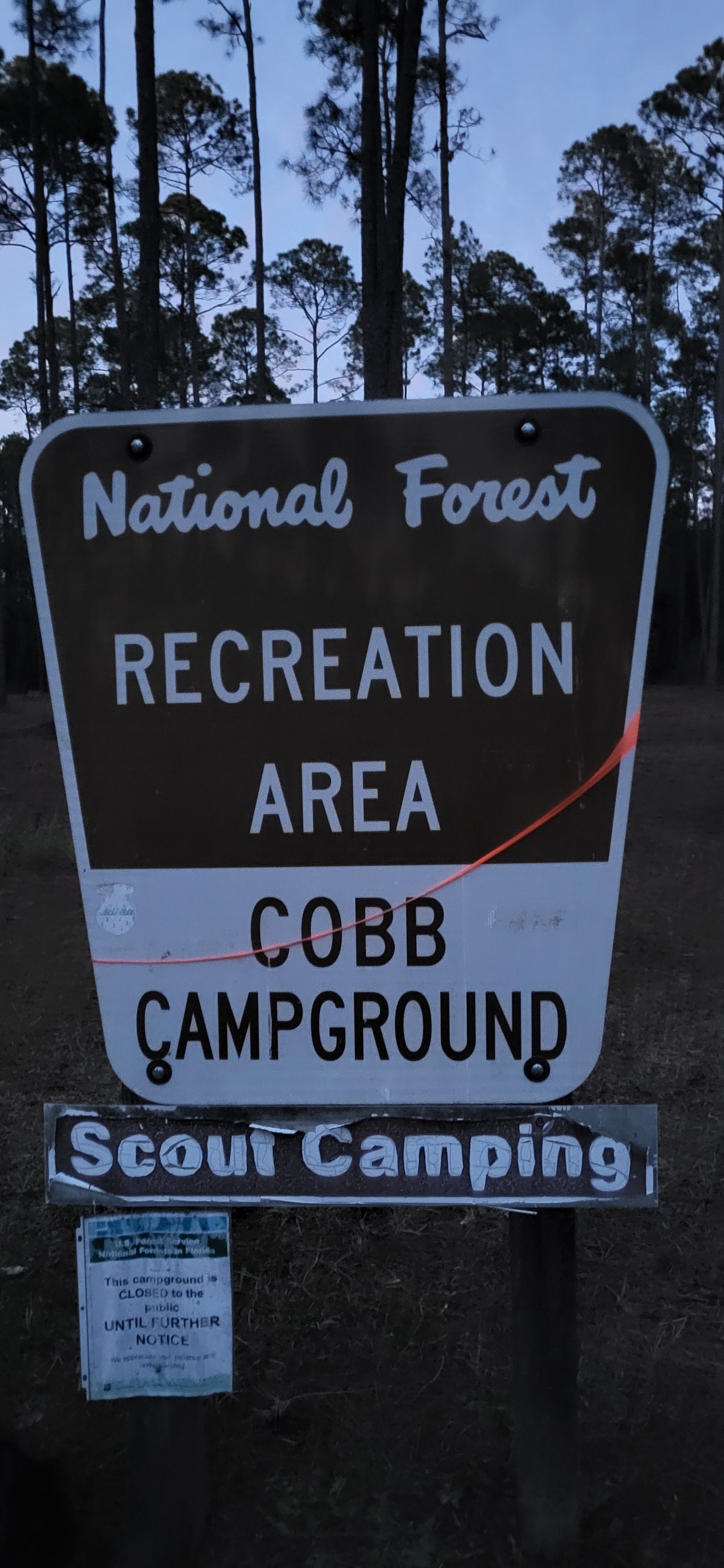 Camper submitted image from Cobb Hunt Camp - 2