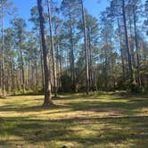 Review photo of Cobb Hunt Camp by hilary G., March 19, 2025