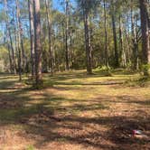Review photo of Cobb Hunt Camp by hilary G., March 19, 2025
