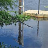 Review photo of Coe Landing Campground by Kai Z., May 30, 2026