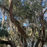 Review photo of Davenport Landing by Tim M., October 23, 2025