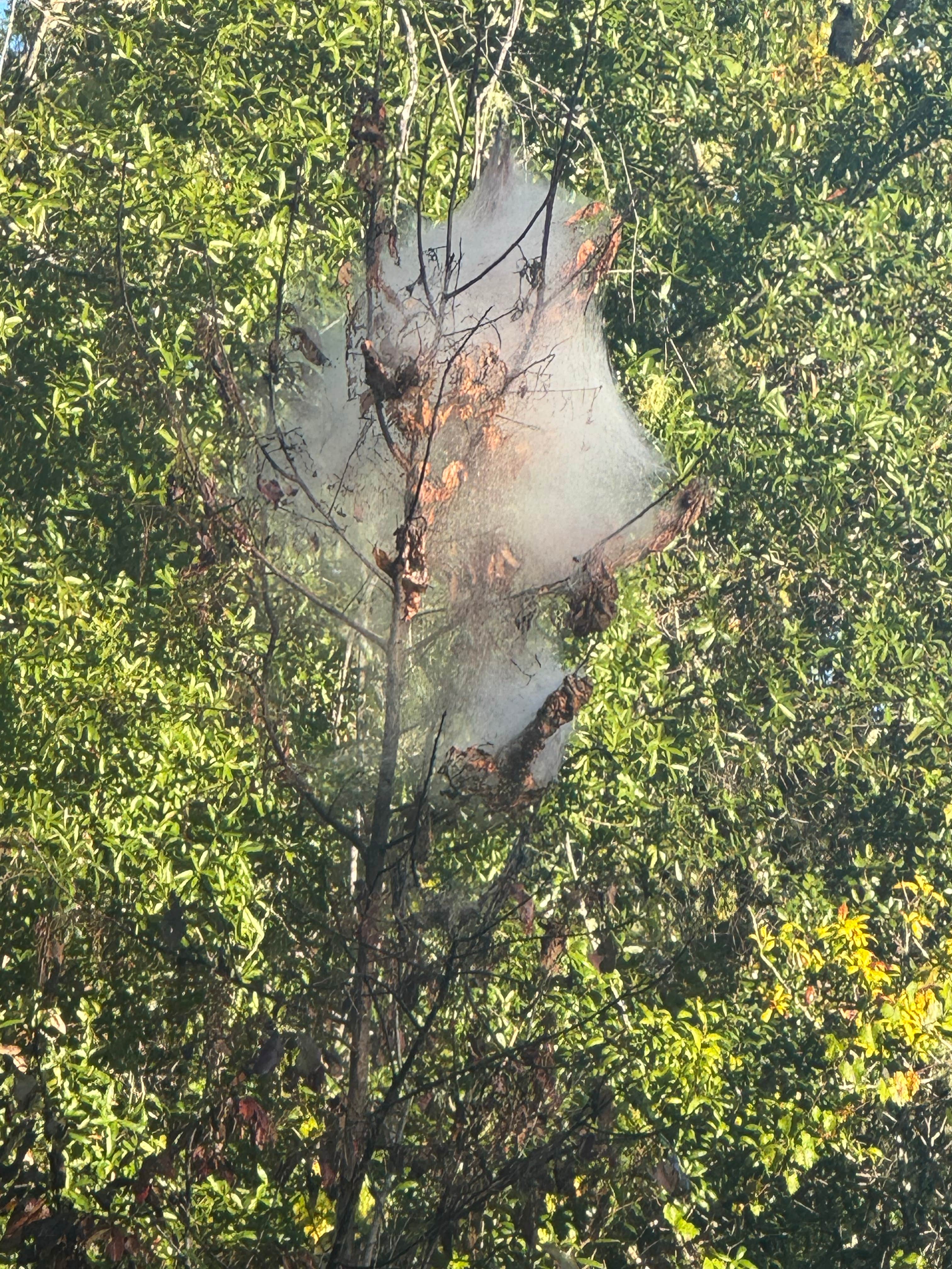 Camper submitted image from Davenport Landing - 1