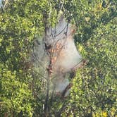 Review photo of Davenport Landing by Tim M., October 23, 2025