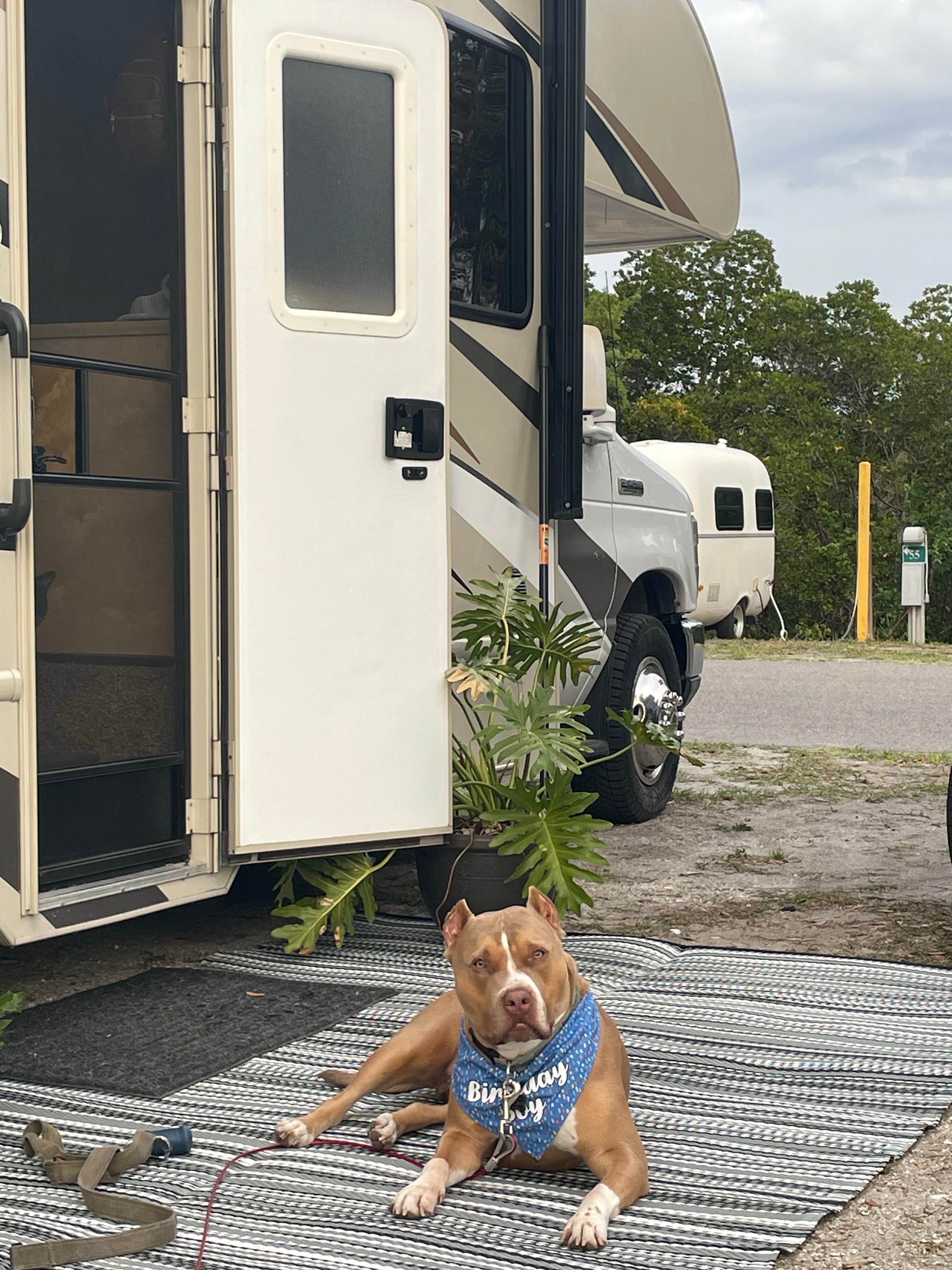 Brian and Janet S.'s photo of camping with pets at E.G. Simmons Regional Park near Lithia, FL