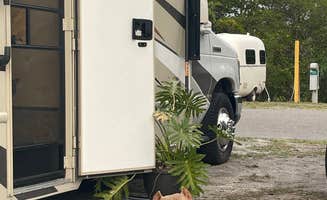 Brian and Janet S.'s photo of camping with pets at E.G. Simmons Regional Park near St. Petersburg, FL