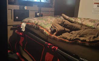 K D.'s photo of glamping accommodations at E.G. Simmons Regional Park near Port Richey, FL