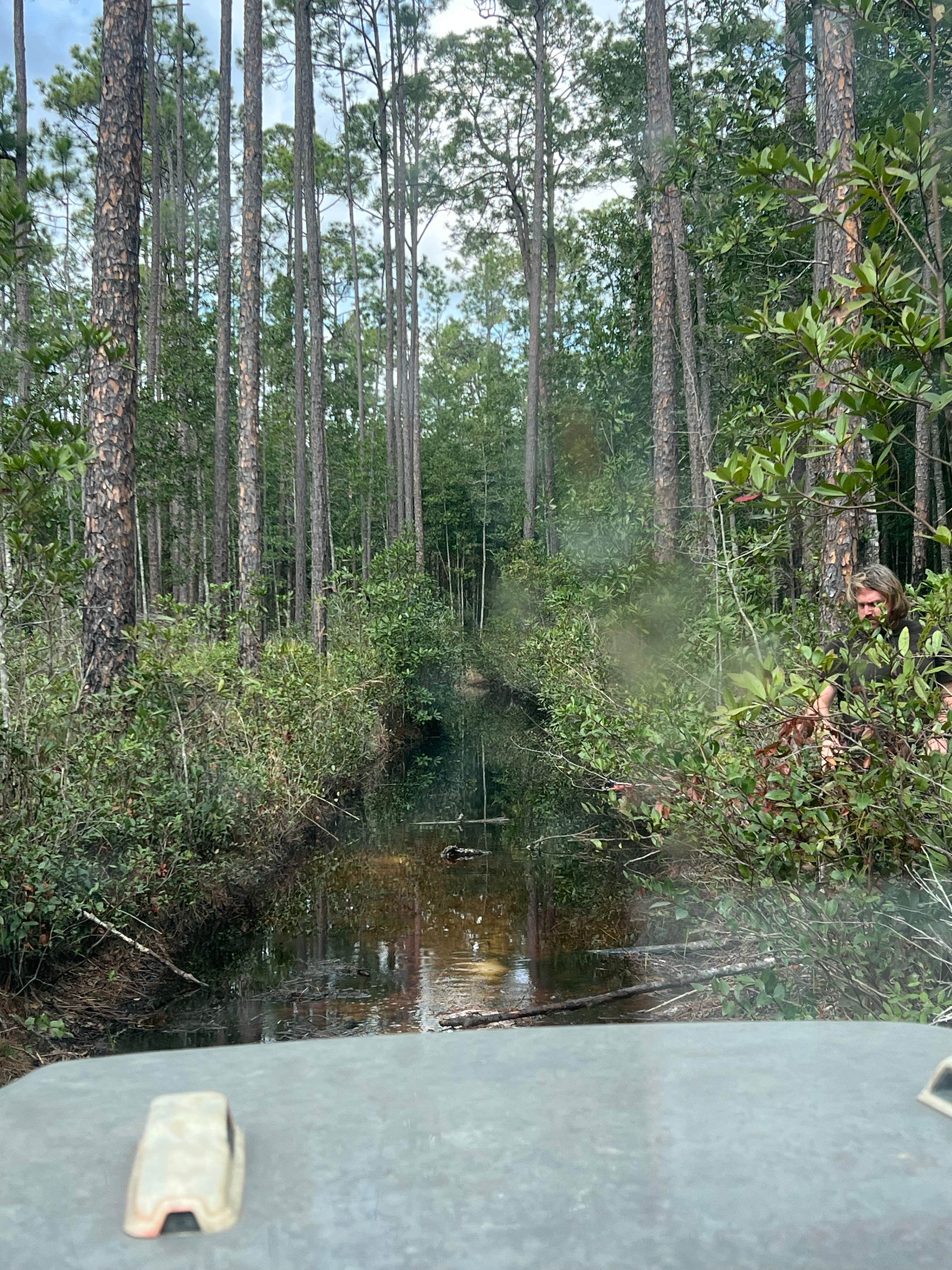 Camper-submitted photo at East Tower Hunt Camp near Starke, FL