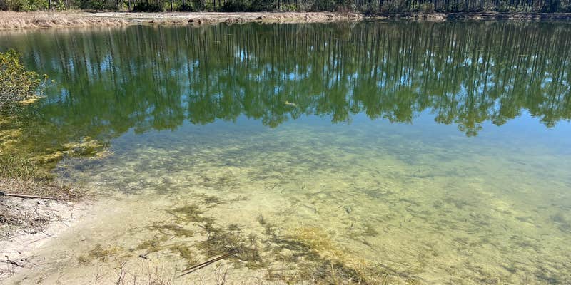 Camper submitted image from East Tower Hunt Camp