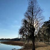 Review photo of Edward Medard Park by sheila D., February 14, 2026