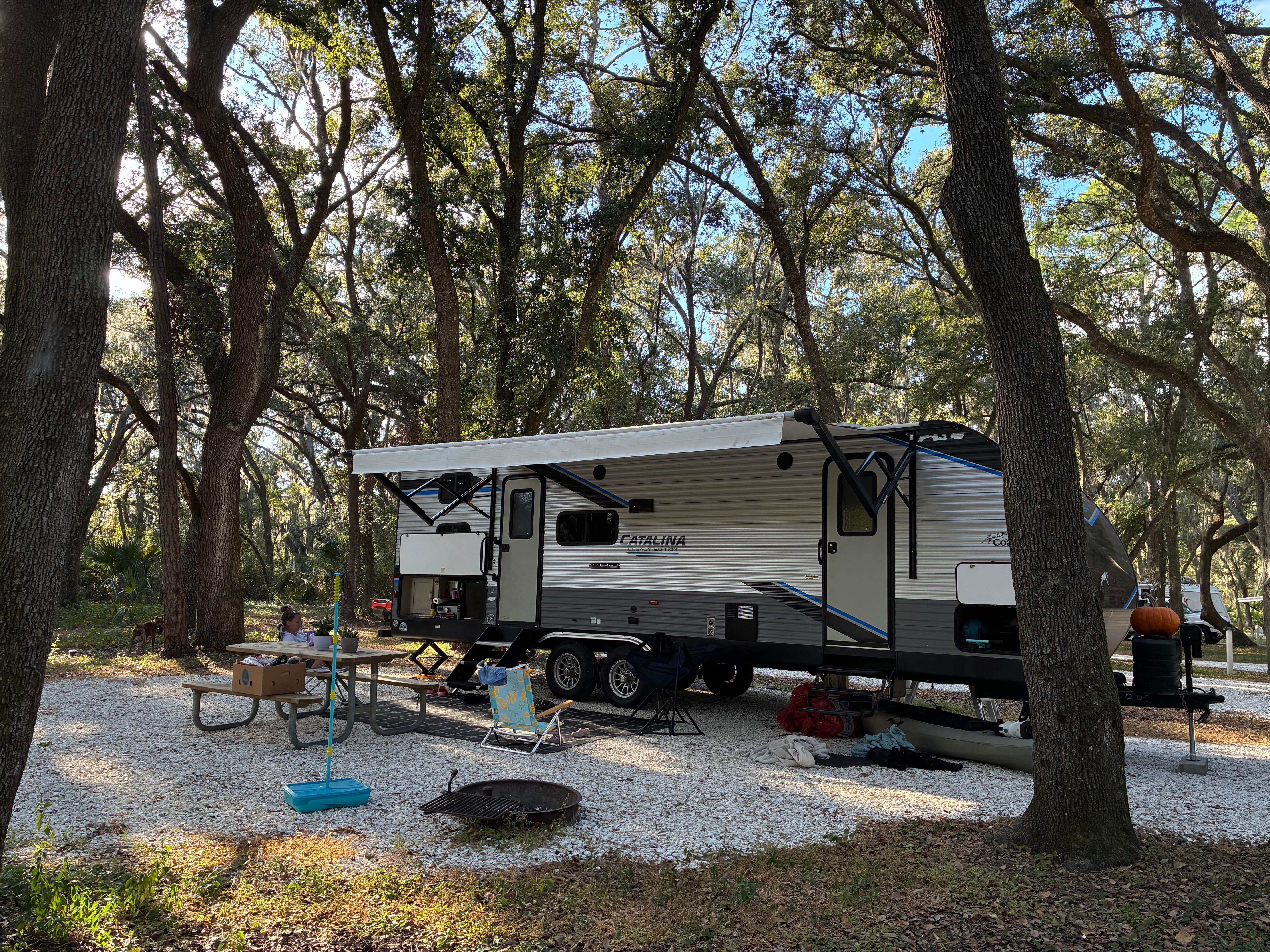 Camper-submitted photo at Edward Medard Park near Plant City, FL
