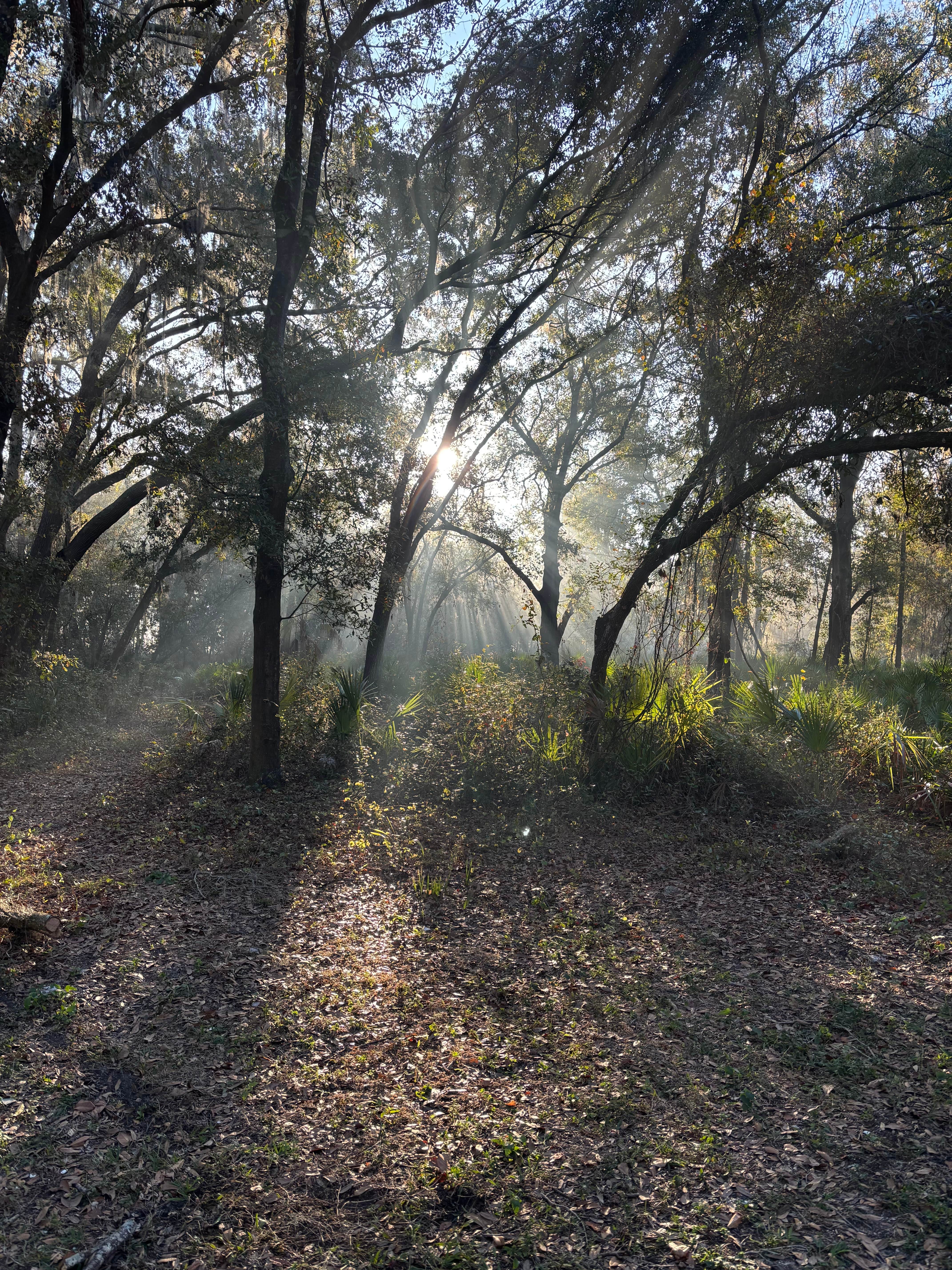 Camper-submitted photo at Edward Medard Park near Plant City, FL