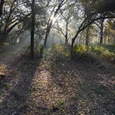 Review photo of Edward Medard Park by Ryan , January 1, 2026