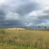 Review photo of Flamingo Campground — Everglades National Park by Lexi W., February 24, 2022