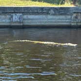 Review photo of Flamingo Campground — Everglades National Park by Laura H., June 21, 2026
