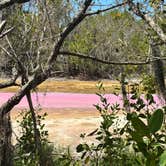 Review photo of Flamingo Campground — Everglades National Park by Laura H., June 21, 2026