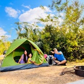 Review photo of Long Pine Key Campground — Everglades National Park by Ignacio E., January 5, 2024