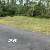 Review photo of Long Pine Key Campground — Everglades National Park by Roger W., January 20, 2024