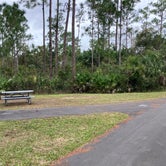 Review photo of Long Pine Key Campground — Everglades National Park by Roger W., January 20, 2024