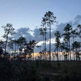 Review photo of Long Pine Key Campground — Everglades National Park by Ruby C., May 10, 2026