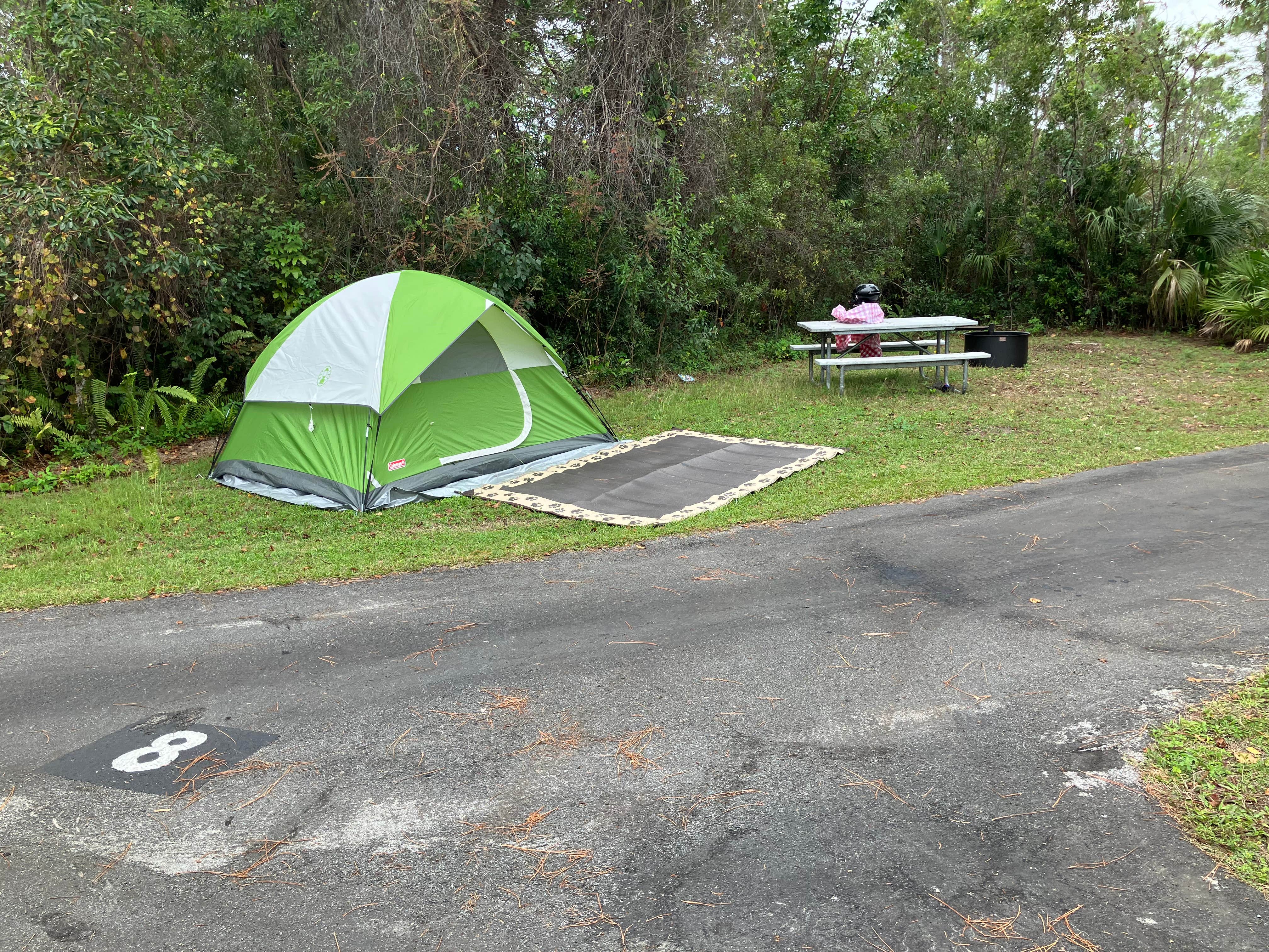 Roger W.'s photo at Long Pine Key Campground — Everglades National Park near North Miami Beach, FL
