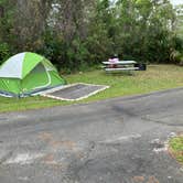 Review photo of Long Pine Key Campground — Everglades National Park by Roger W., January 20, 2024