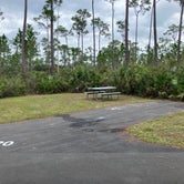 Review photo of Long Pine Key Campground — Everglades National Park by Roger W., January 20, 2024